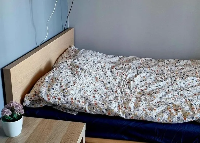 Komfortowe Rodzinne Mieszkanie Z Balkonem I Miejscem Parkingowym, Centrum Apartman *